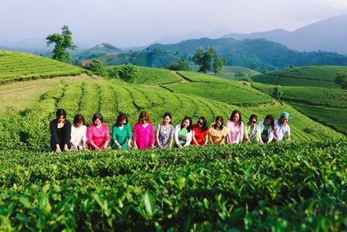 Chuyên đề kỹ năng làm bài đọc hiểu Ngữ văn 6,7,8,9